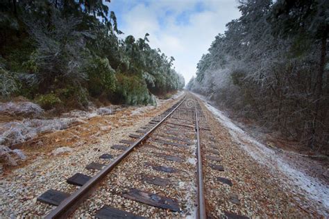 frozen tracks for sale